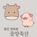 오거리축산 | 중앙축산 용인 정육점 일선선포크 중앙시장 고기 맛집