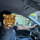 홍천샬레 | 프랑스 니스 근교 여행-베르동협곡, 무스띠에 생뜨마리