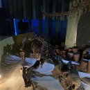 우석헌자연사박물관 이미지