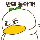세종크리닝 네이버블로그
