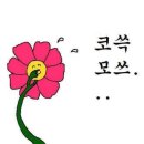 메이네일 - 성남시 분당구 정자일로 55 | 메이네일