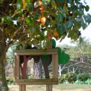 참살이조가비촌 이미지