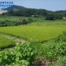 도내리보건진료소 이미지