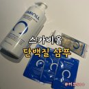 지에스25더사파향기점 | 여름철 떡지는 지성 두피 관리 화해 1위 스카비올 단백질샴푸 솔직 후기