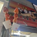 에프엠바이크 | 대구 추구미 is 도쿄 대키하바라에 가다