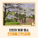 전재울근린공원화장실 | 인천의 벚꽃 명소 [전재울근린공원]