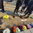 자연장지 이미지