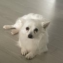 아이조아요양보호소 동탄점 이미지