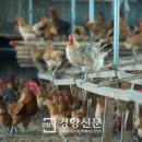선임농장 이미지
