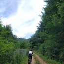 인제03-3 이미지