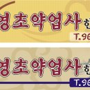 영초약업사