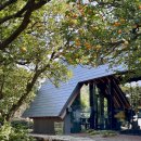 건축사사무소그라파이 | 제주 유지커피웍스, 공간을 즐기기 좋은 카페