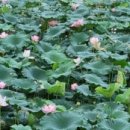 메트로정문 부동산중개사무소 이미지