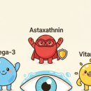 태양약국 이미지