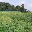 입북삼성가정의학과의원 이미지