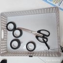 (주)어니언엔터테인먼트 | 파라타 항공 나트랑 행 WE205, WE 206(A320-200) 후 기!, 비행기 좌석 미리 보는 사이트