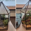 나만의세상 테라리움 만들기 이미지