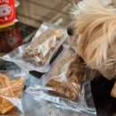 페따미꼬 이미지