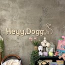 헤이도그 이미지