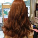 고고헤어gogoHair Daum카페