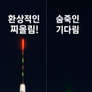 환희전자 | 붕어낚시 스마트 전자찌, 루키드 현영찌 써본 후기 (입질 감지 원리, 장단점)