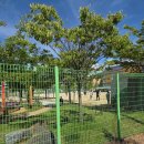 고급 독자가 될 결심 이미지