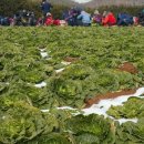 조은세상영농조합법인 이미지