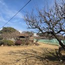 빛그린공인중개사사무소 이미지