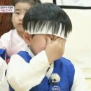 서울애견 이미지