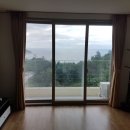 숲속의바다 바다동 이미지