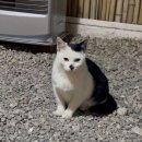 서울YMCA다락원캠프장 | 서울 근교 글램핑 끝판왕 피카푸 피크닉앤글램핑장 카리나 리즈도 다녀간 카라반 후기