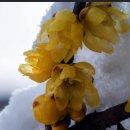 외동 883(일동한신아파트 정문) | ■꽃샘 추위?김해하수구/누수~일동/동일/무학자이~세탁실뚫어 세면배관교체/누수점검.