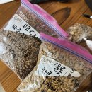 한강펫케어센터 | 서울 근교 24시간 상주 애견호텔링 - 한강펫케어센터 송파본원 이용후기 (소형견 / 중형견 분리)