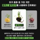 피로 관리와 운동 후 컨디션을 위한 남성 루틴, 바른남자연구소 '테스토온' 솔직 후기
