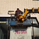 서유나 STYLE DOG 이미지