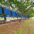 괴산펜션2 이미지