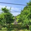 영천 정각리 삼층석탑 이미지