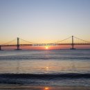 펠리시티1차 이미지