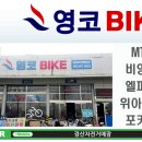 영코바이크