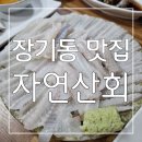 송화회초밥 | 대구 장기동 먹자골목 맛집 : 이시가리 진짜 괜찮은 횟집 용산동 술집 자연산 회 후기