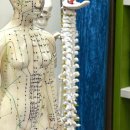 바디랩 | [구리경락마사지] 약손바디랩 후기｜구리마사지 잘하는 곳에서 받은 프리미엄 바디케어