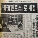 타이거즈배팅클럽 | [ 삼미슈퍼스타즈의 마지막 팬클럽 ] 박민규 소설 - 꼴찌를 향한 갈채