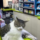 CU 덕적도점 이미지