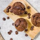 데이동물의료센터 이미지