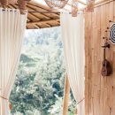 성인 우쿨렐레 이미지