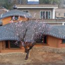 고향황토집 이미지