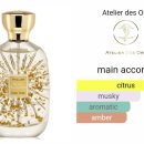 폴리크롬 이미지