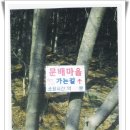 강촌유원지 이미지