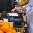 큰시장주차장 화장실 | 제주 서귀포 매일올레시장 주차장 먹거리 추천