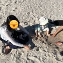 곽지관광지 | 두돌 아기랑 제주도 해수욕장 추천 - 곽지, 협재, 김녕